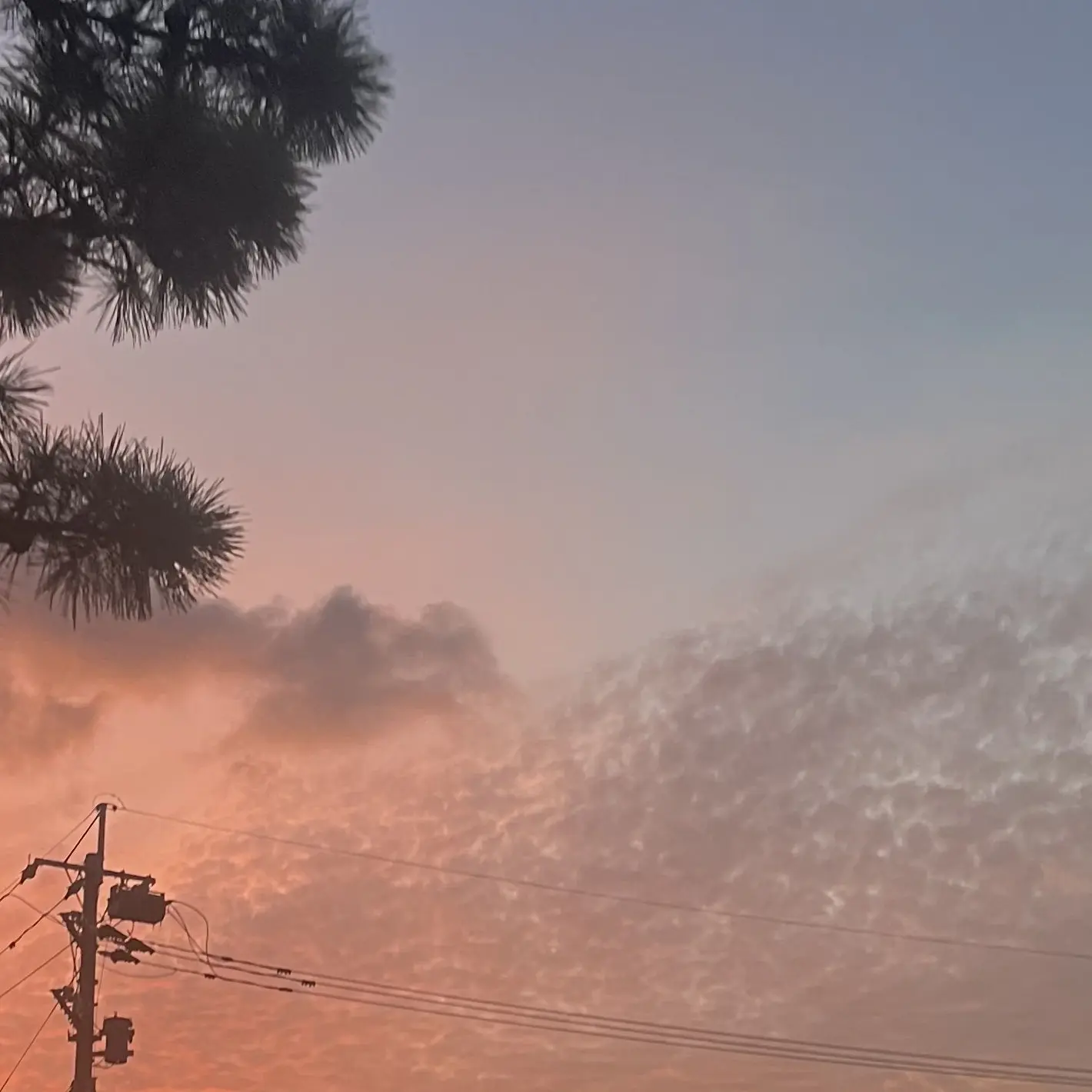 NoisyDoor1494의 この事実をどうするか