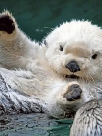 RichCar6833의 투어스 학교