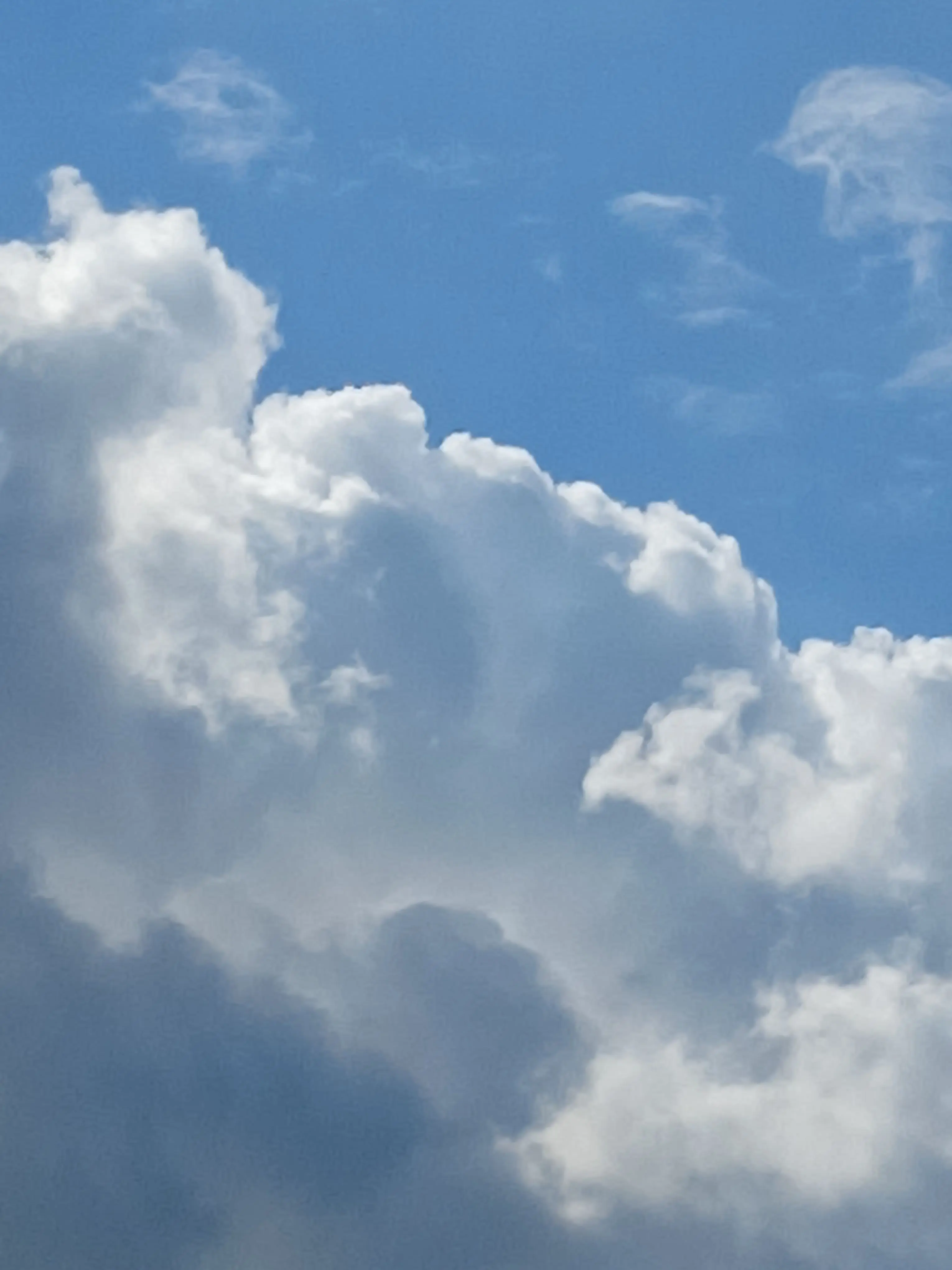 TealSpicy1591의 싸이코드