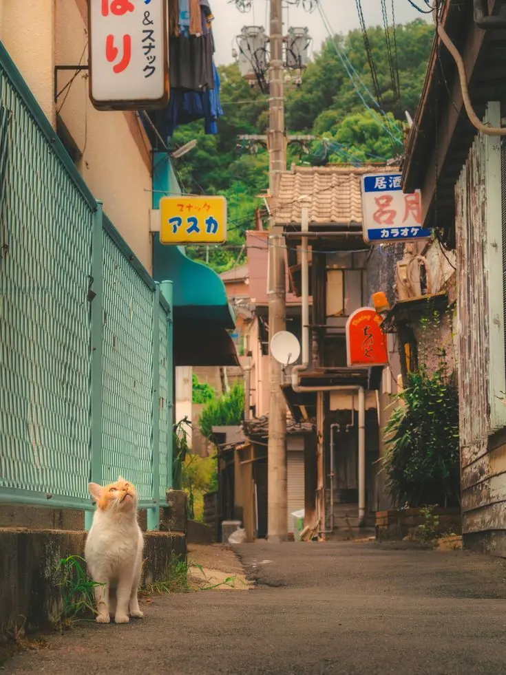 moyashi_umasugi의 じゅじゅトーク（さしす）