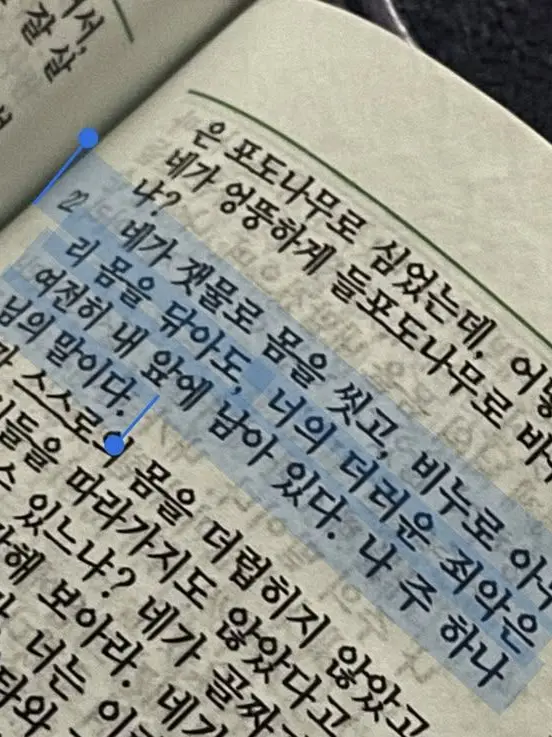 Zion.T의 身体发肤 受之父母