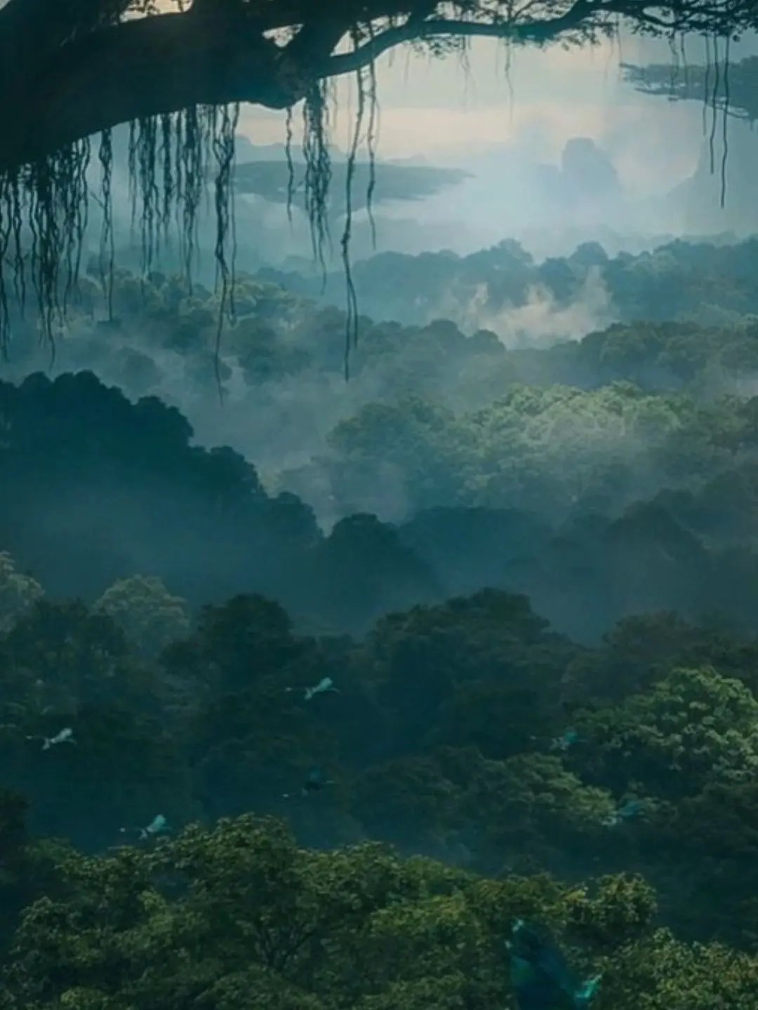 wh0s_th4t29의 Pandora