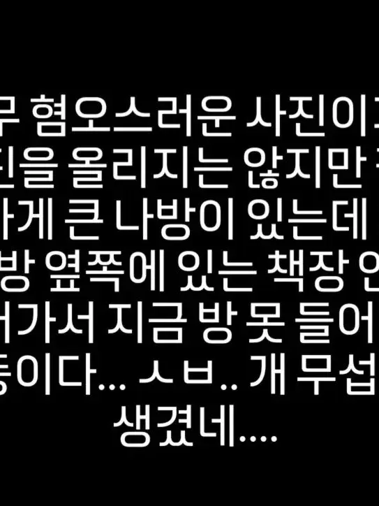 shark2337의 집 안에 들어온 거대한 나방...