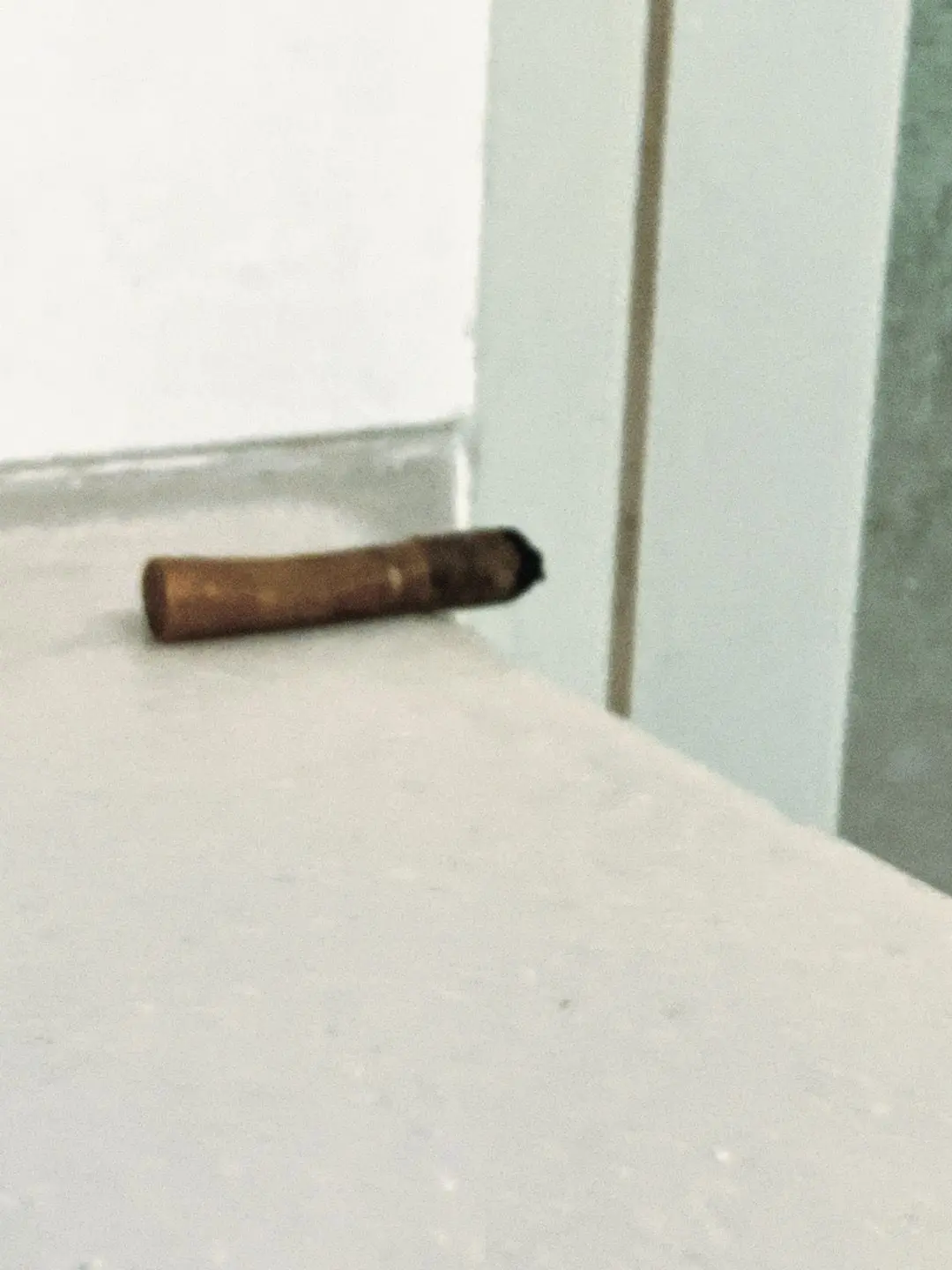 LameFrond2185의 ☆(　-`ω-)✧