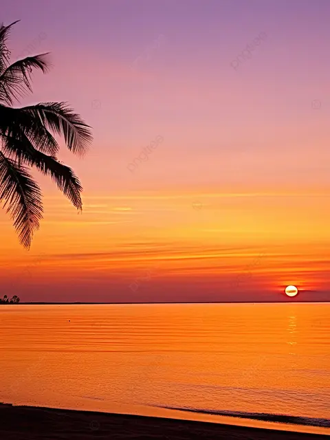 WornTired8936의 빅뱅, 김여우와 무인도에 떨어지다.