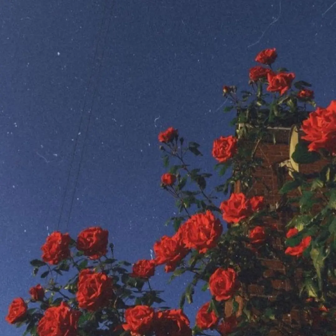 QuietMoth7079의 심연의 주인