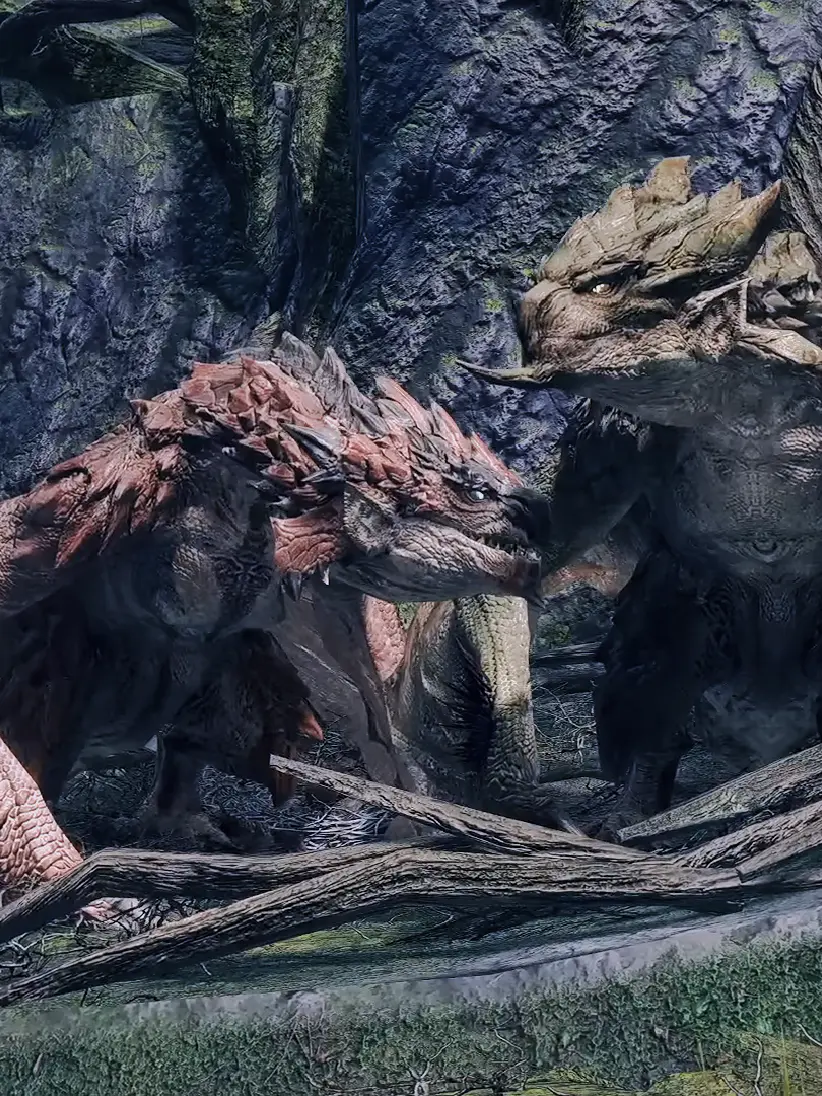 LowAkita6437의 リオ夫婦