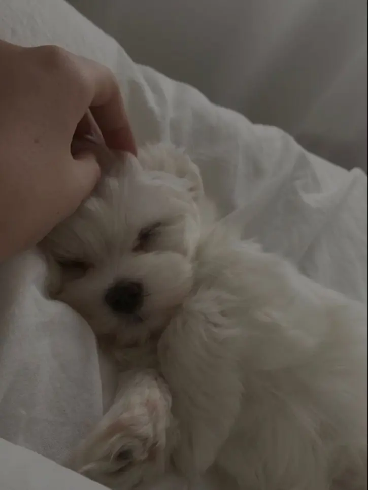 .....ux의 妄想厨
