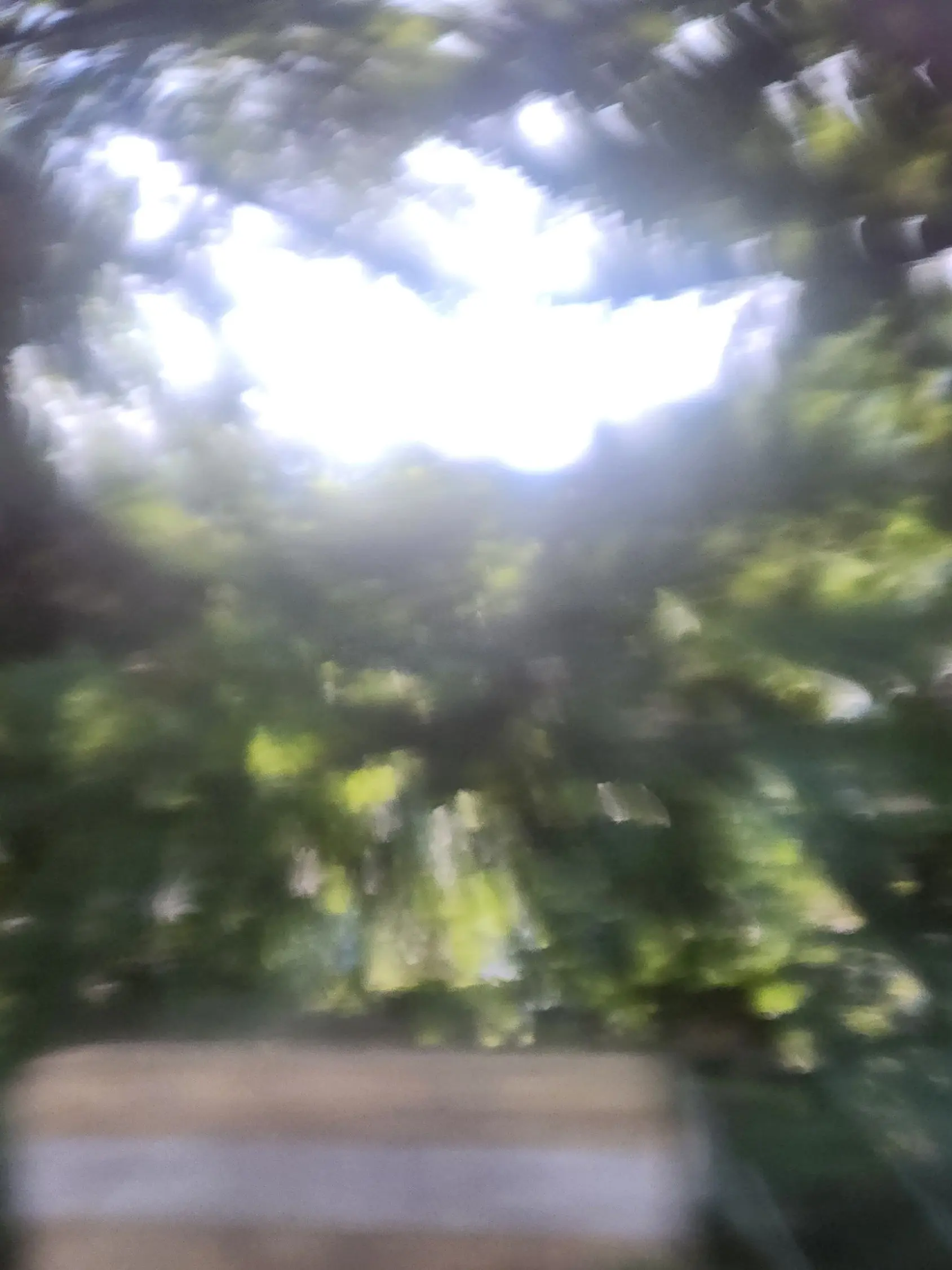 Lonelycustomer의 꽃에겐 물을