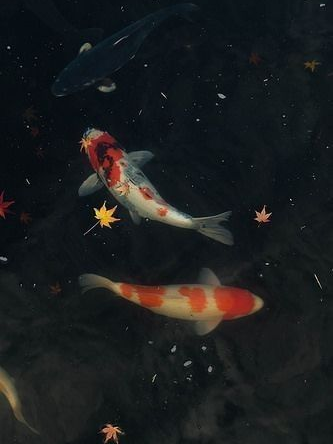 김수환 대표 이미지