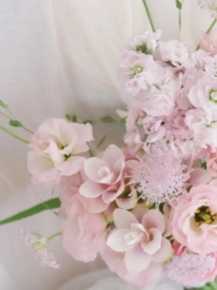 Pretty6856의 나를질투하는여우와그마음을 몰라주는친구