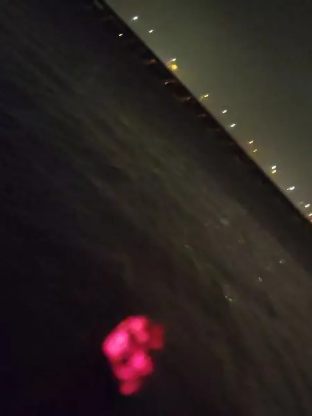 Angelbaby의 Lost faith