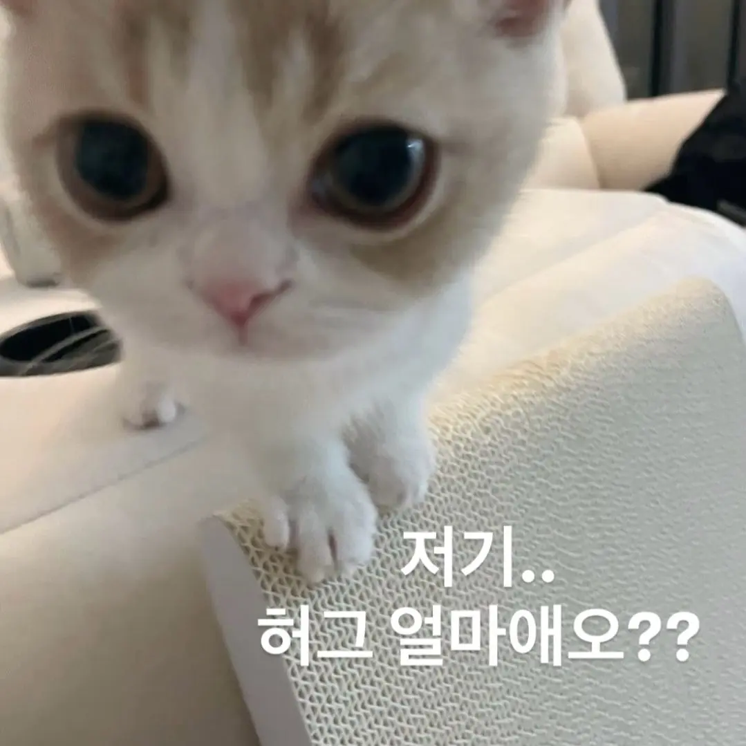 PorousThumb2167의 김민율