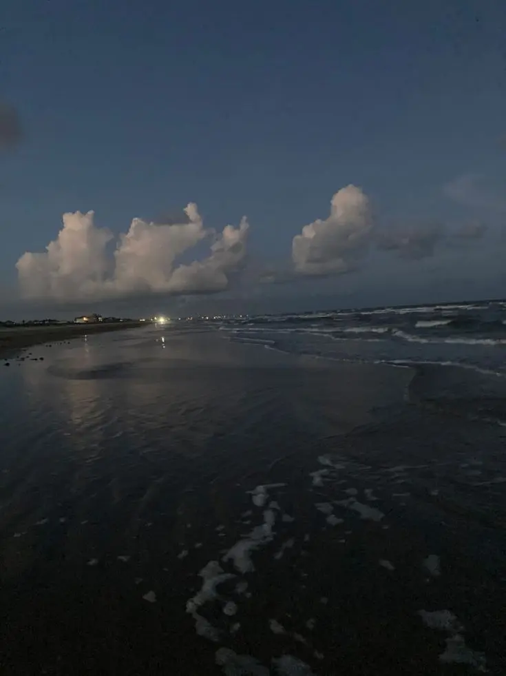 QuietShoes3638의 친구의 여동생