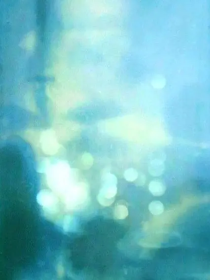 decadent.romantic의 ­­ ­­
