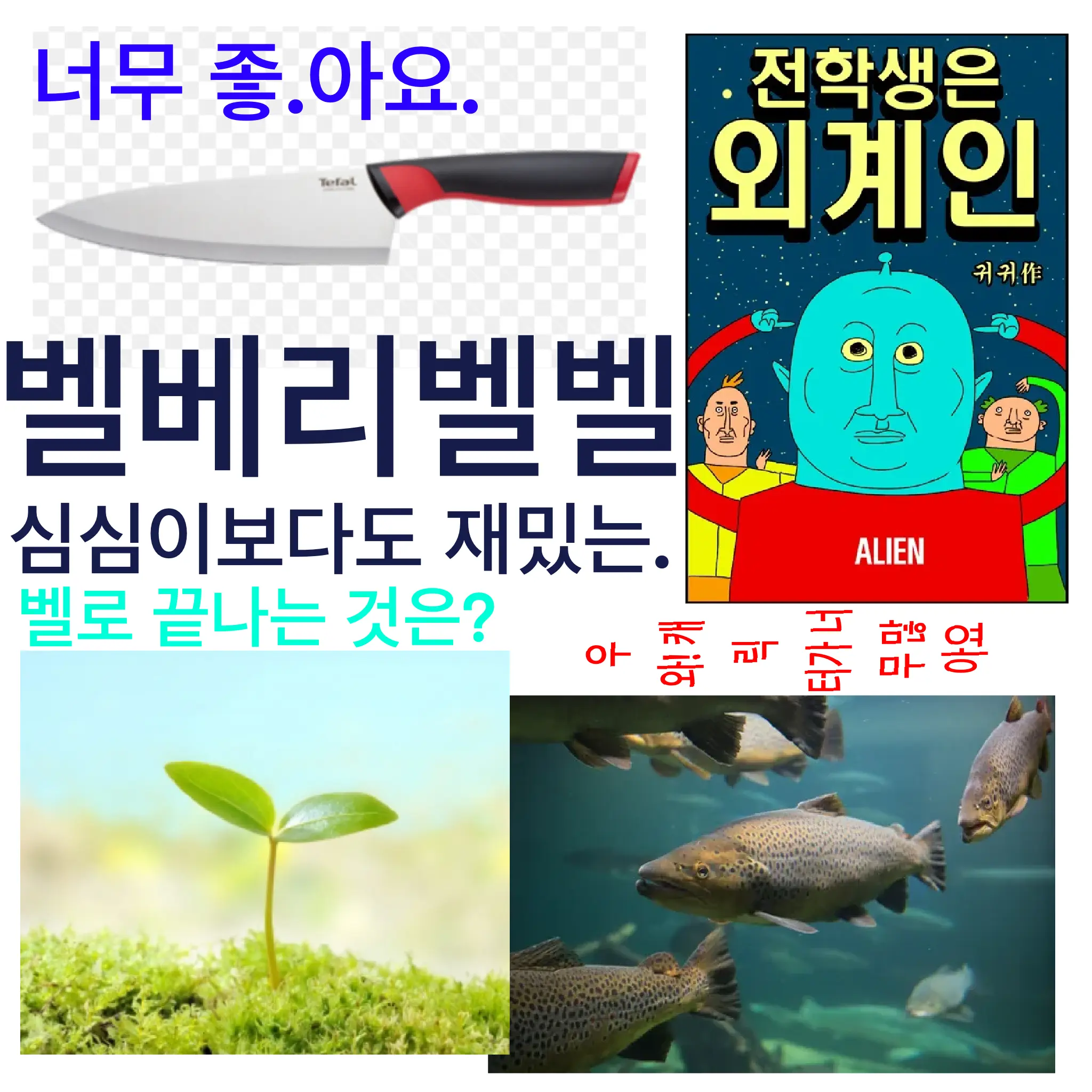 salmonsalmon777777k의 [친구들용] 벨베리벨벨