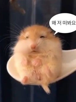 BL연애프로그램 대표 이미지