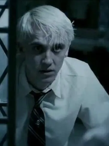 CoralMiner9894의 Draco is crying.