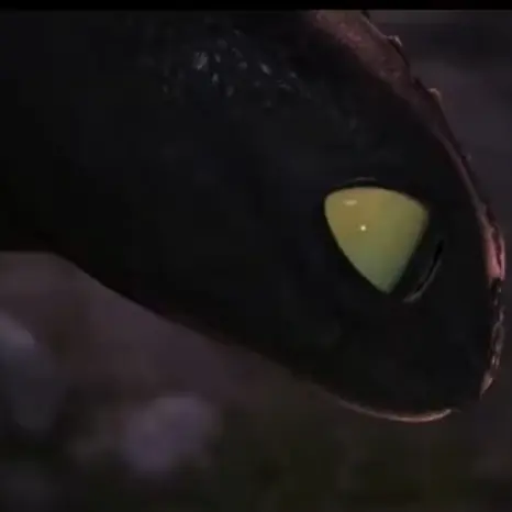 TartStudy2807의 ヒックとドラゴン