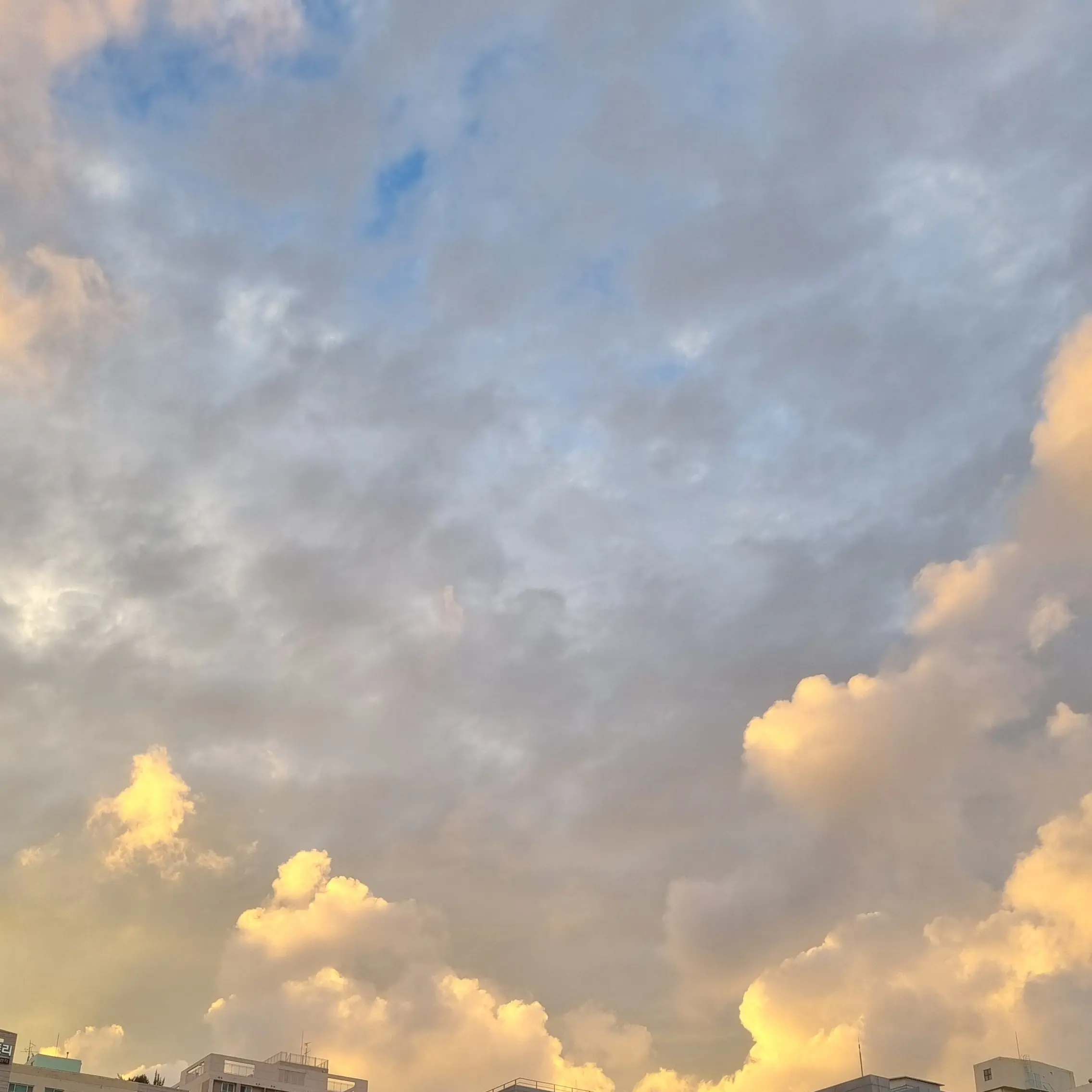 VocalTwig7712의 사랑하는 엄마♡