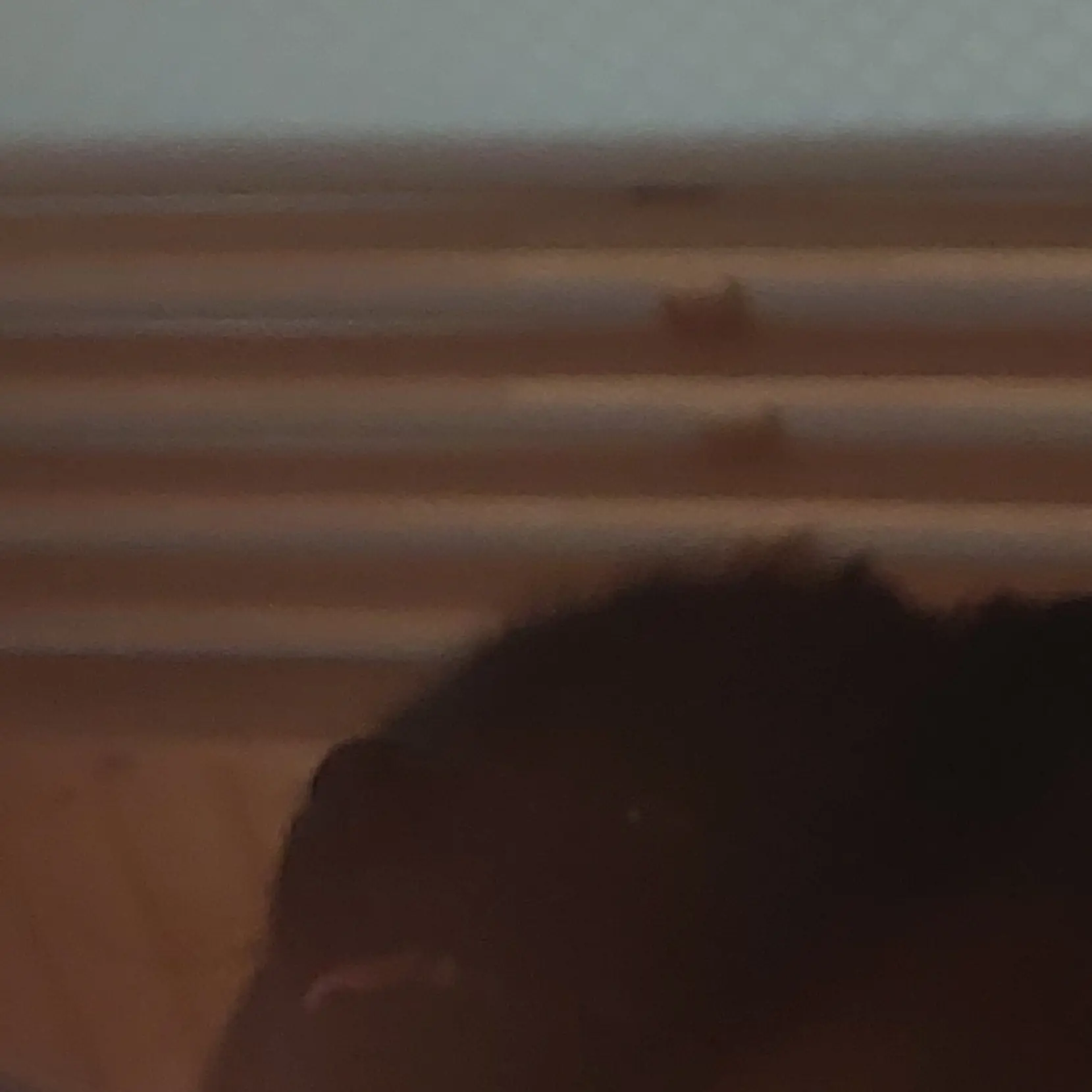 know_youri의 윤정핝