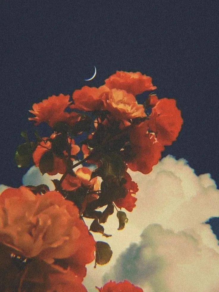 dpxnp의 폭군의 기생이 되어