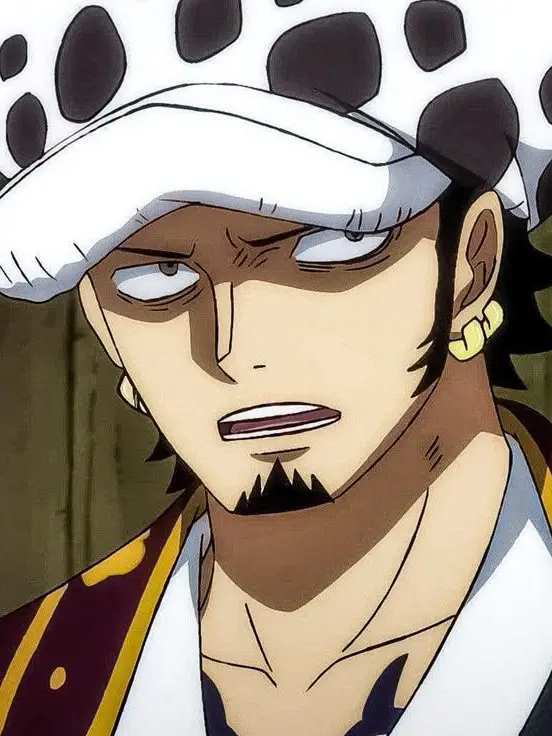 RobustHat6583의 Trafalgar law x User
