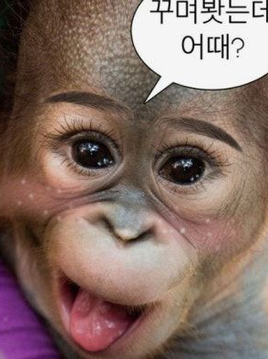 남녀무리(+늑대!!) 대표 이미지