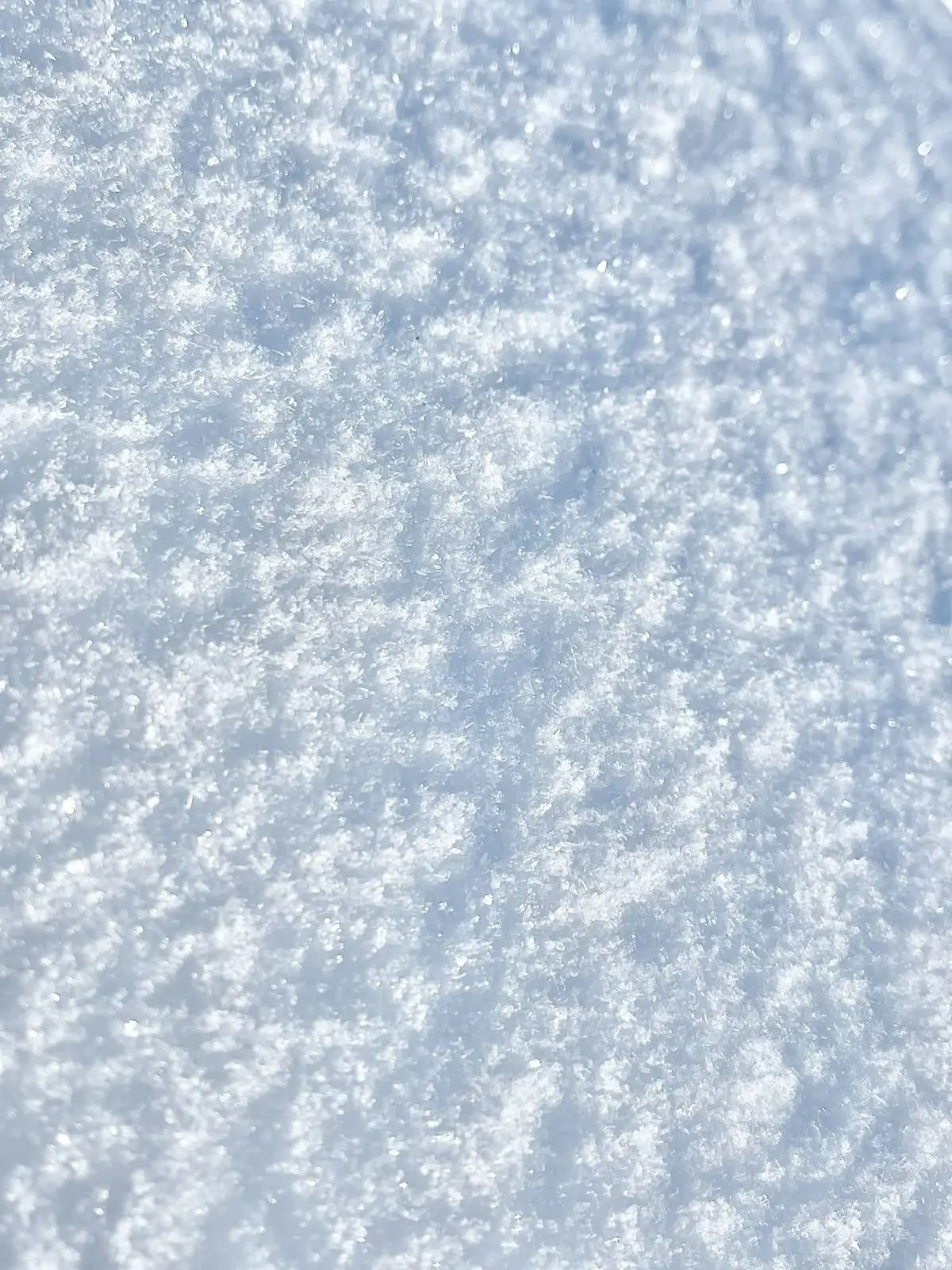 Asterum-Aliens_PLV의 채봉구