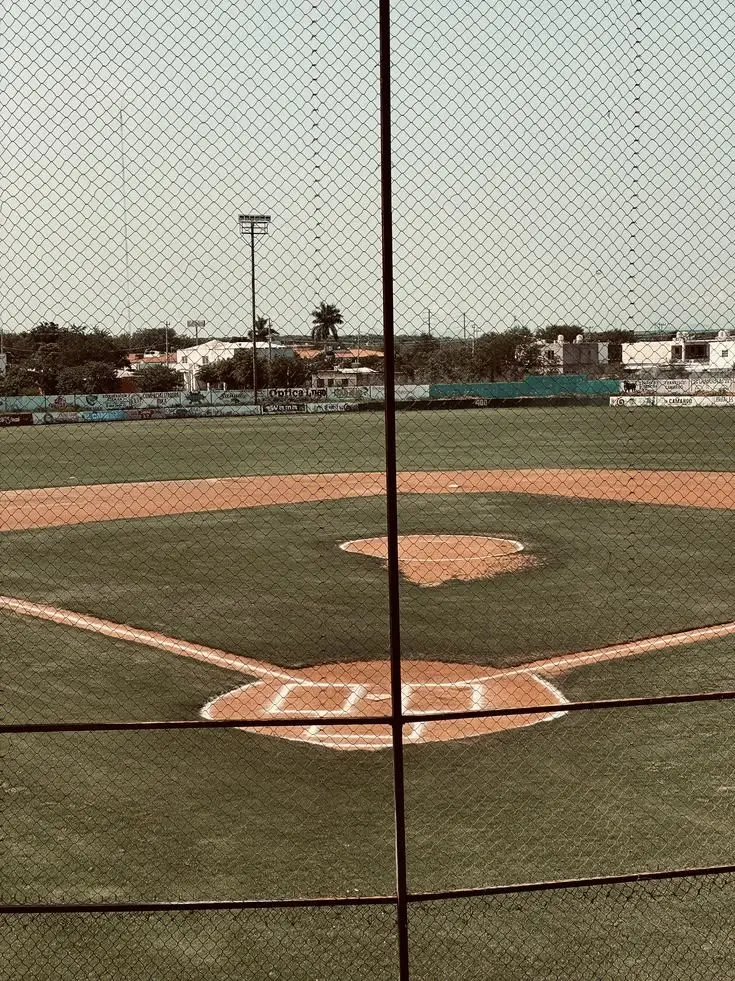 TTOA의 ⚾️