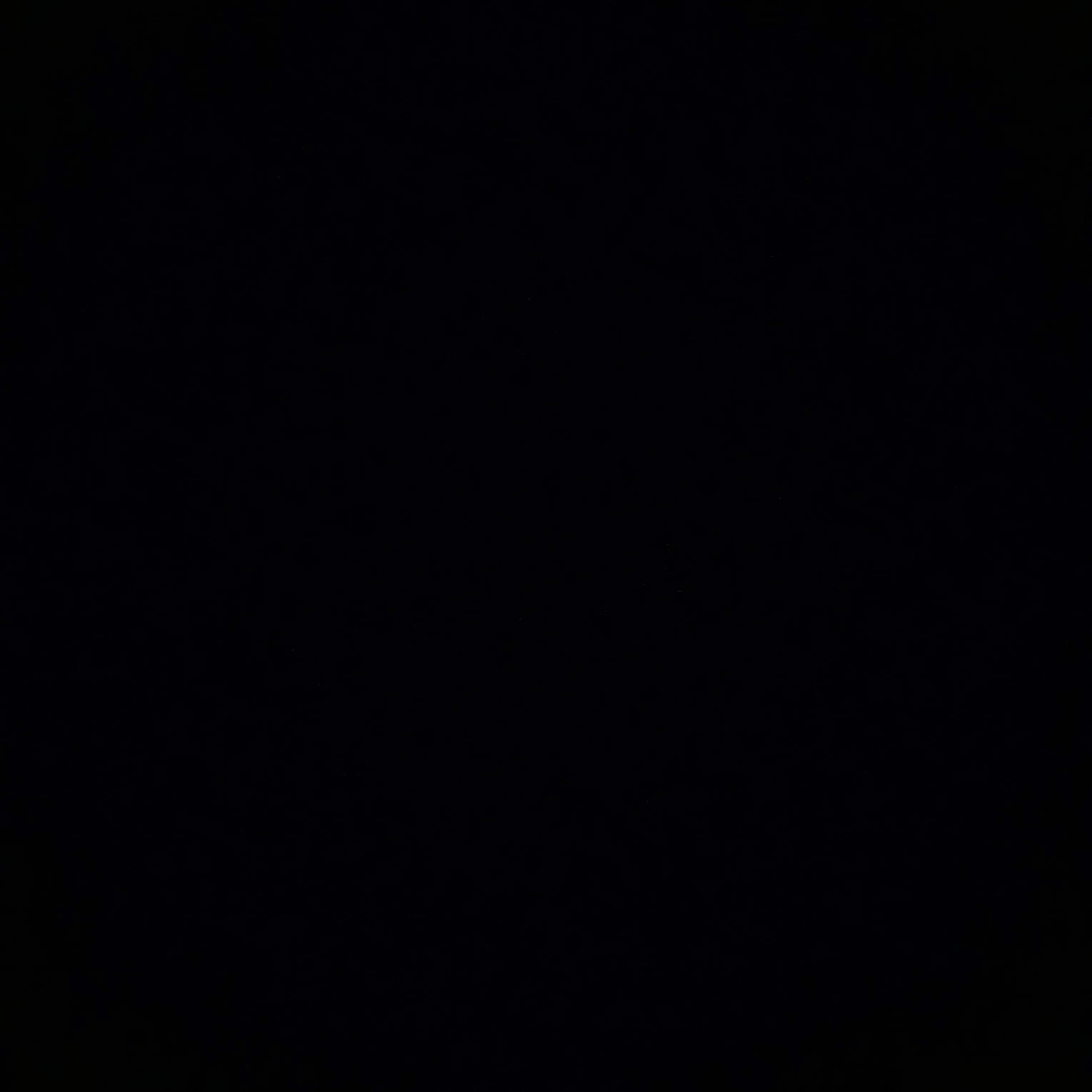 GustySwine1550의 13명의 동생들