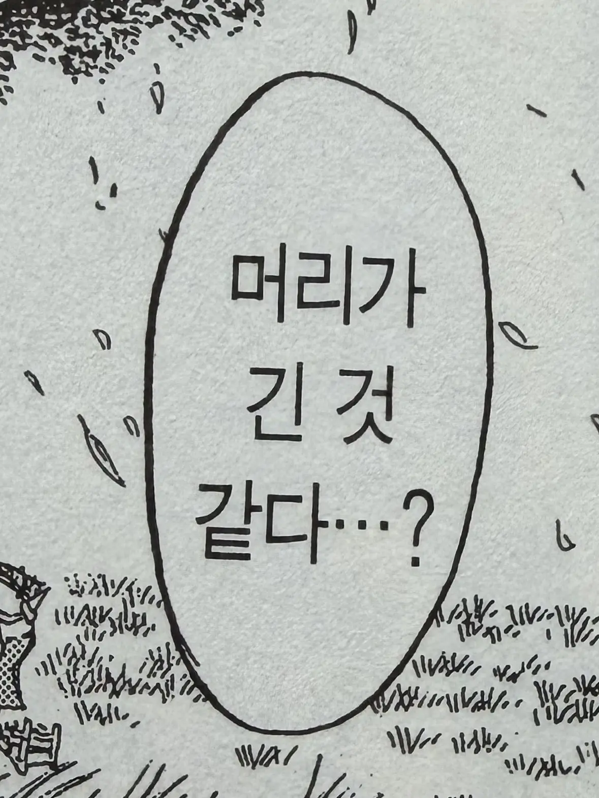 QlQlald의 에렌 엄친딸 되깅