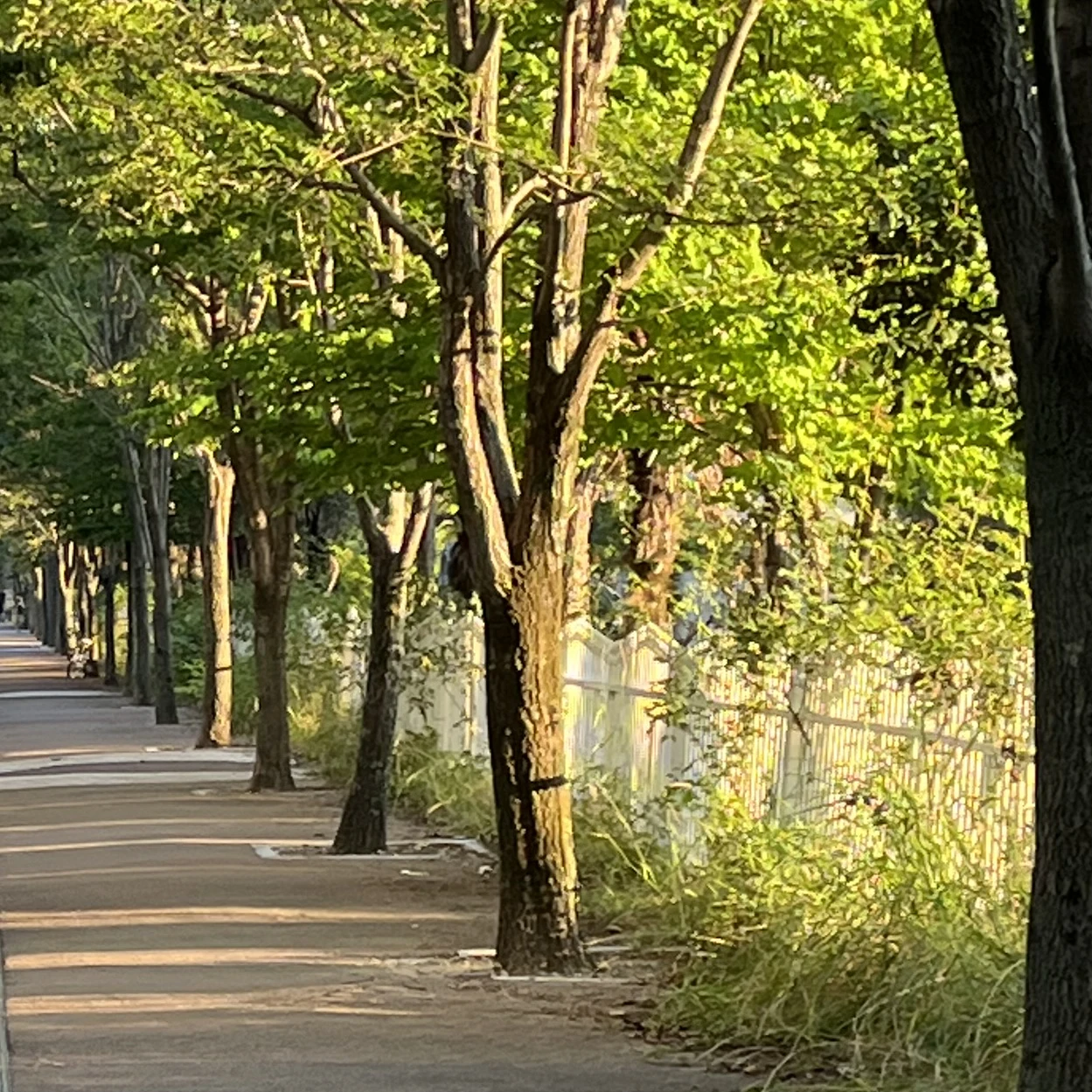 멈춘 시간속 정원