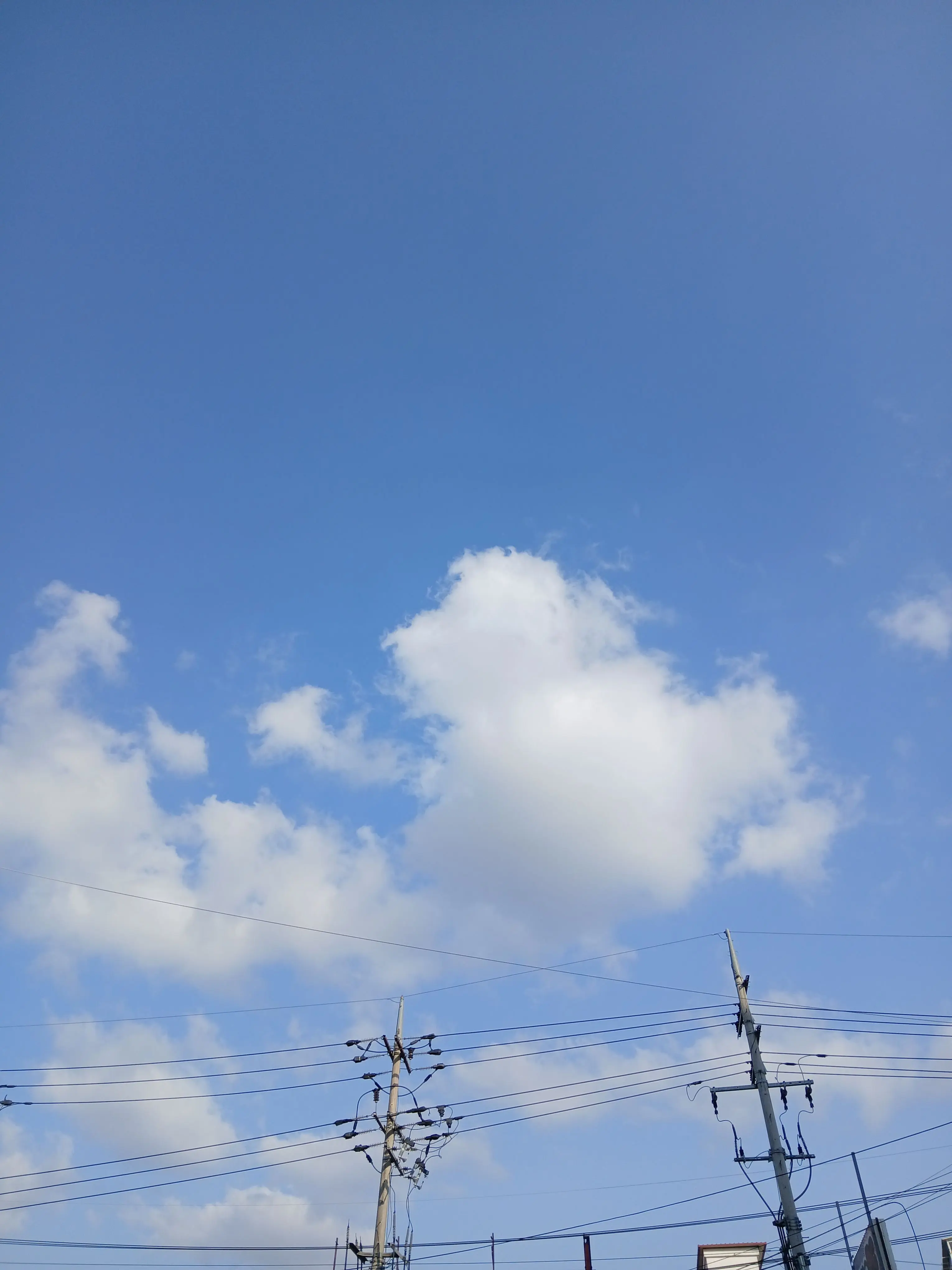 muvo76r의 봄이 그렇게도 좋냐 멍청이들아