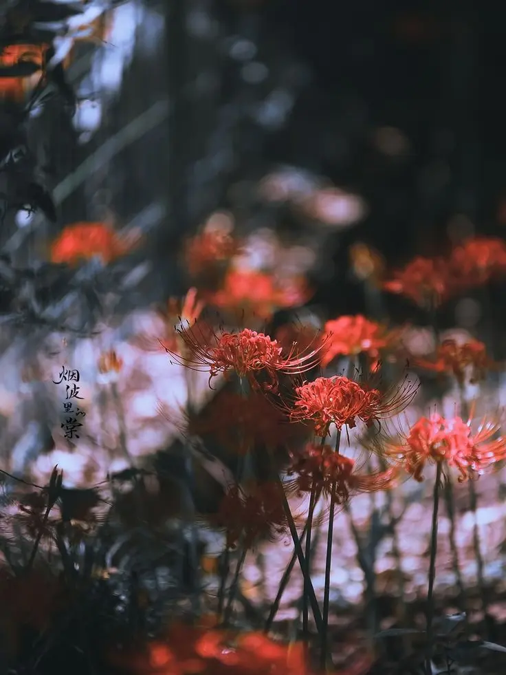 paradise0804Luna의 Florist x Killer