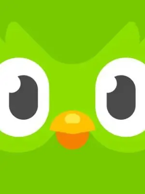 Eternal_Sugar의 Duolingo Universe