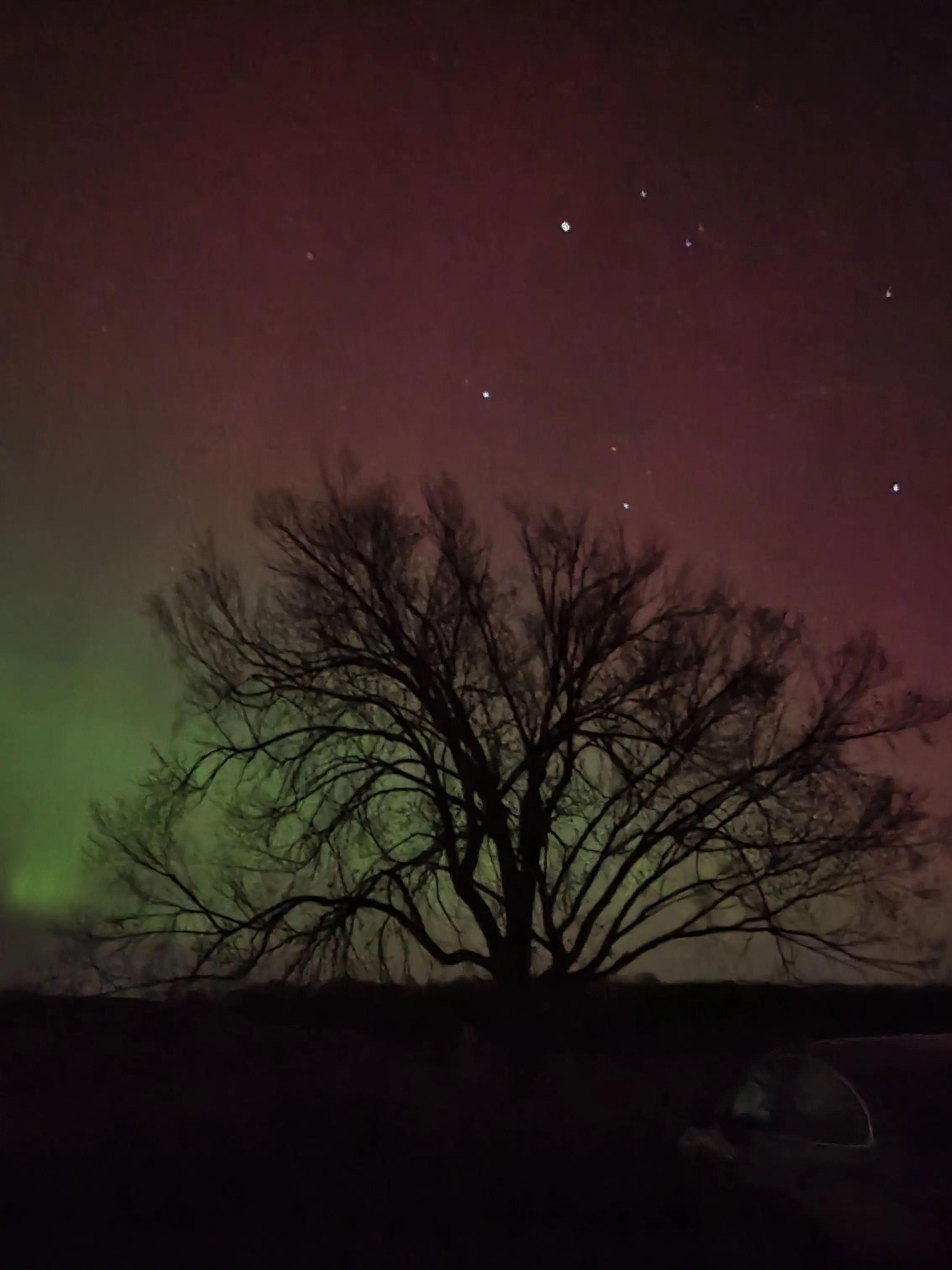 OralCord4429의 Tmnt meet mlb