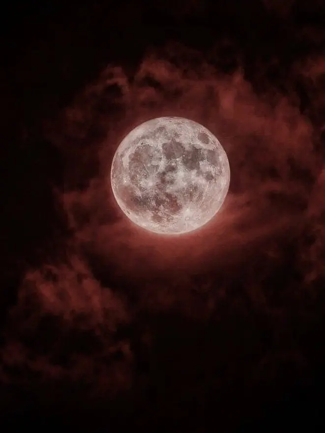 StumpyDisk4019의 ︵‿୨♱୧‿︵