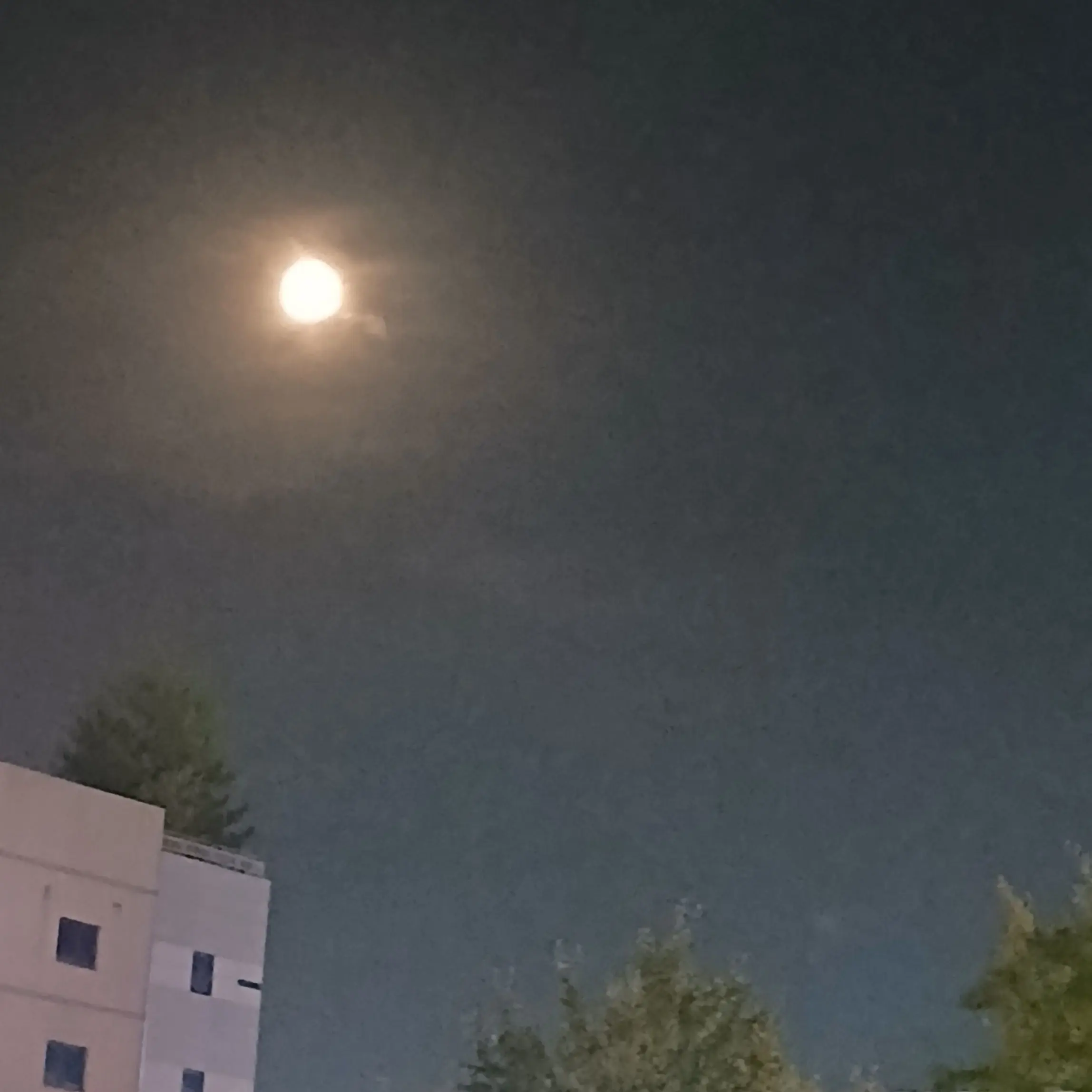 SolemnPark9977의 "미안하구나.."