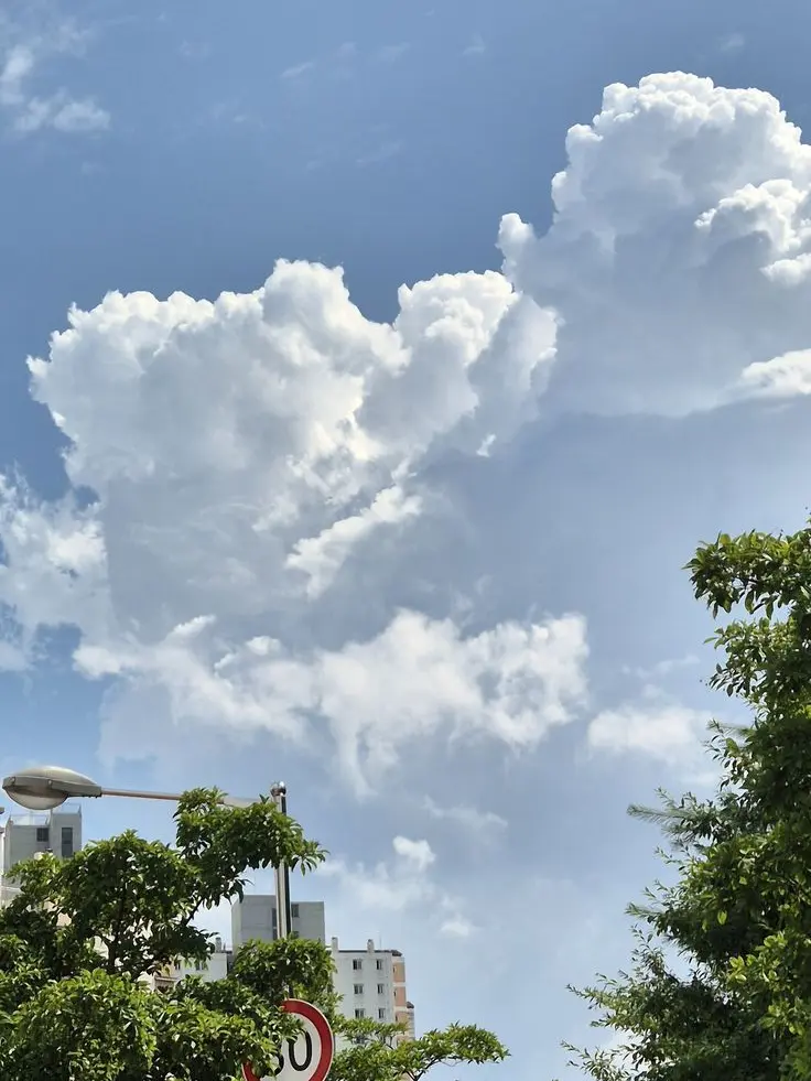 Tiiis2u의 이수빈 [gl]