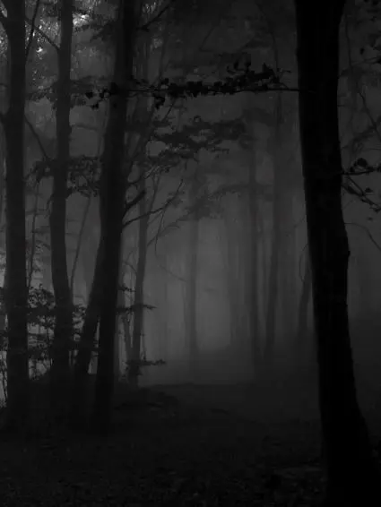 Lilianaxoxokisses의 Dark Romance- Six Dangerous Men