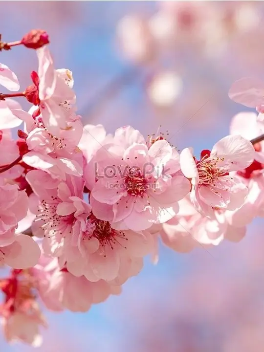 Moon_11의 ㅎㅅㄱㅎ