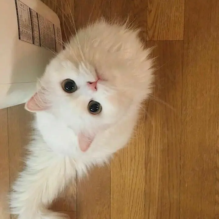 kimjaehyun_loveeeeeeeeeee의 김재현