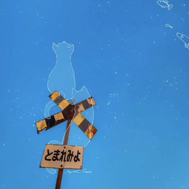 tbk.0910426의 漠.さん〜