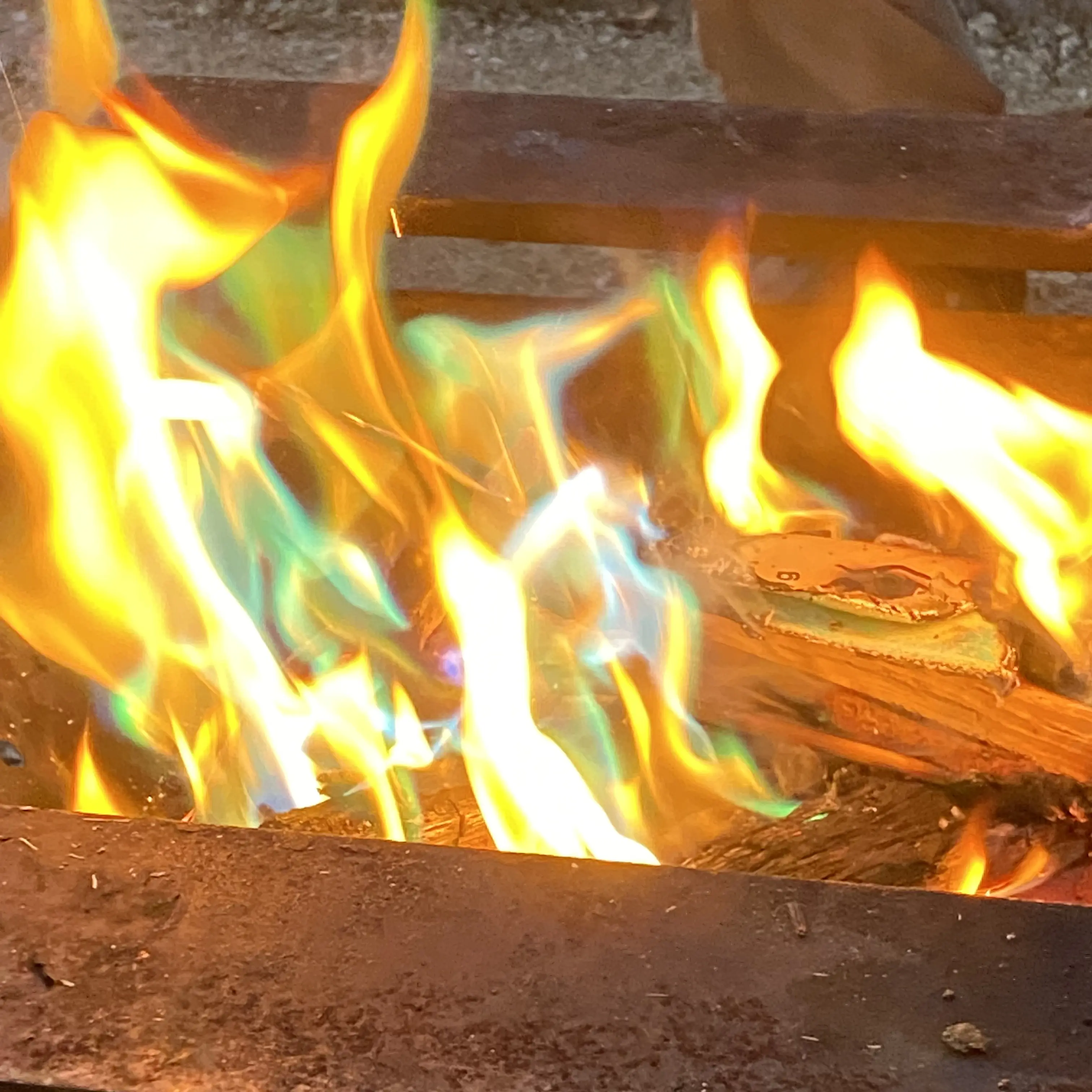 FirmZebra8900의 민우가 나를 좋아한다?