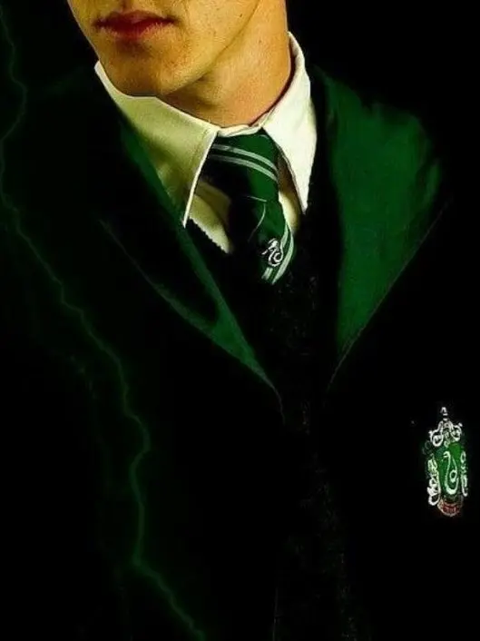 ShortSteel2882의 드레이코 말포이