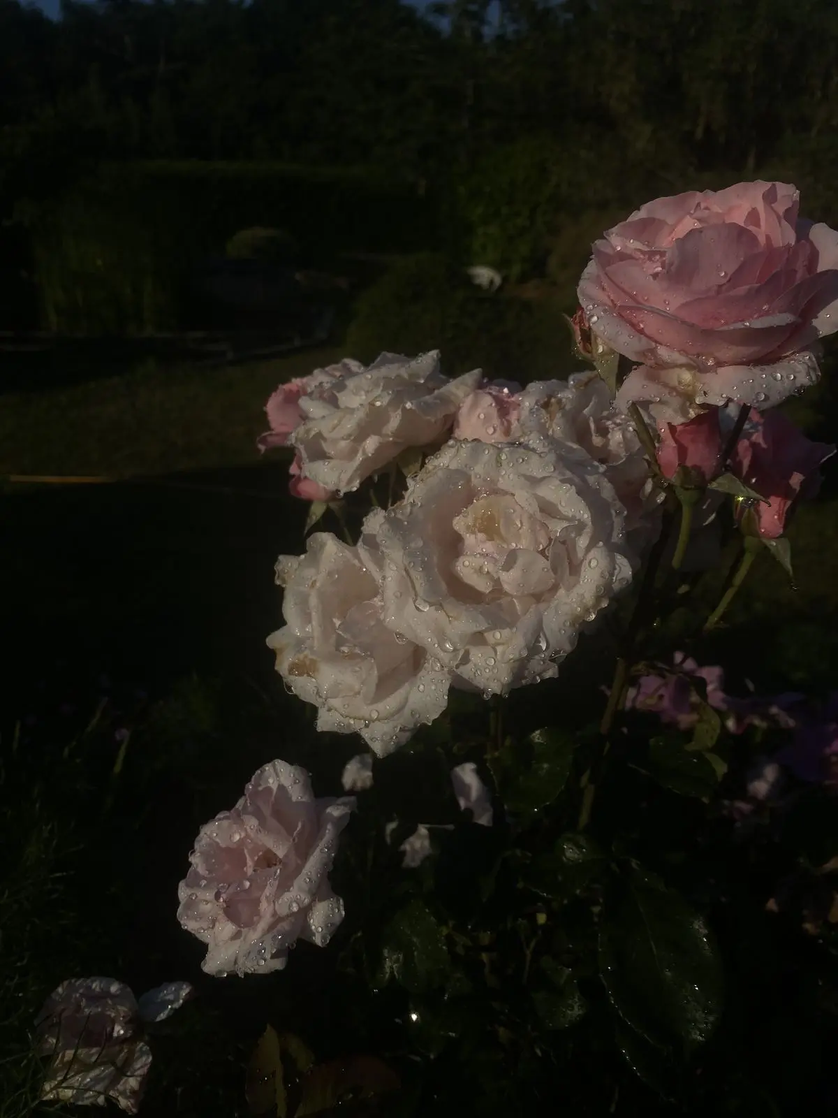 blue_motive의 좀비 바이러스