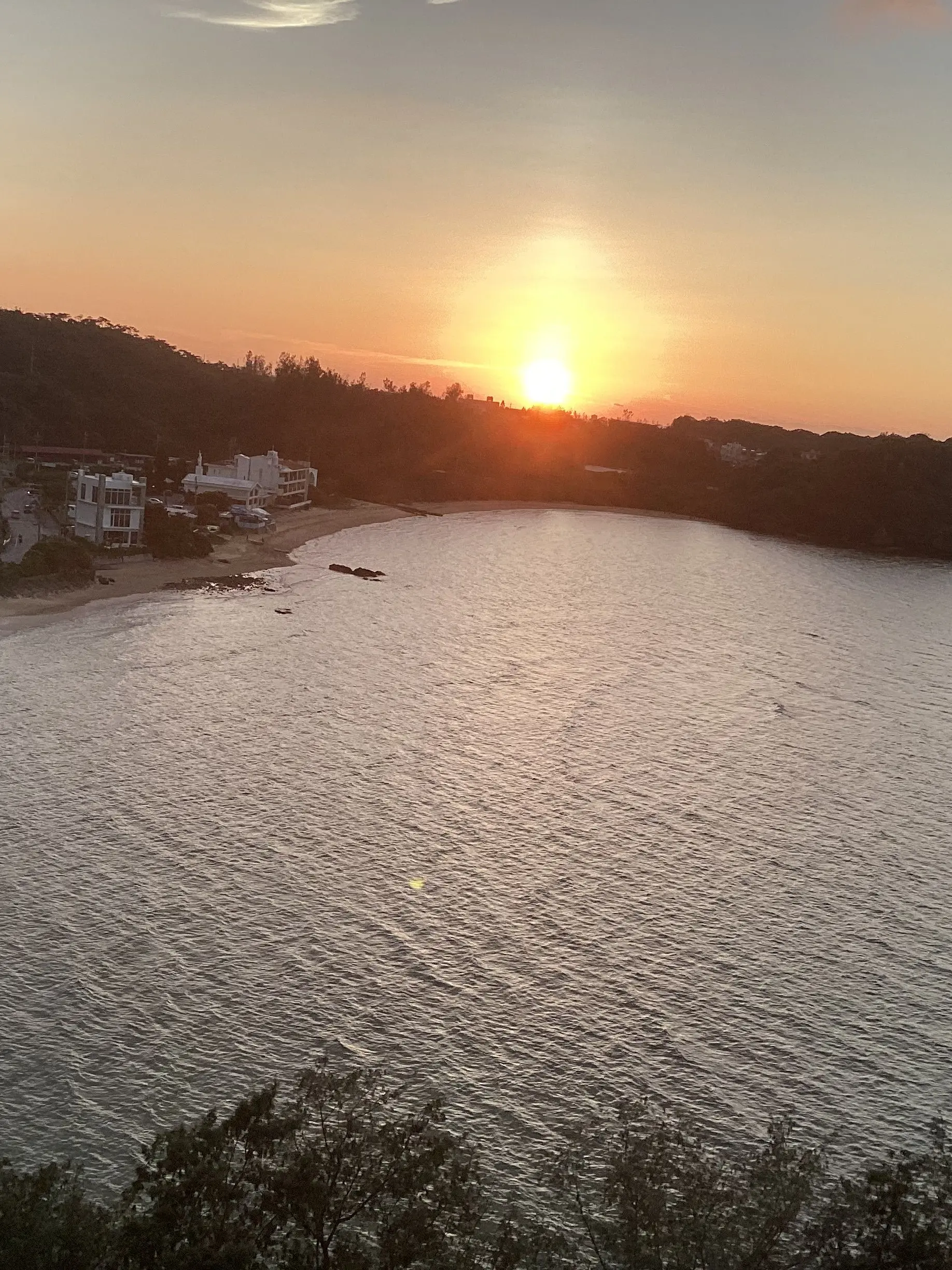 QuickFruit8907의 日帝が…？