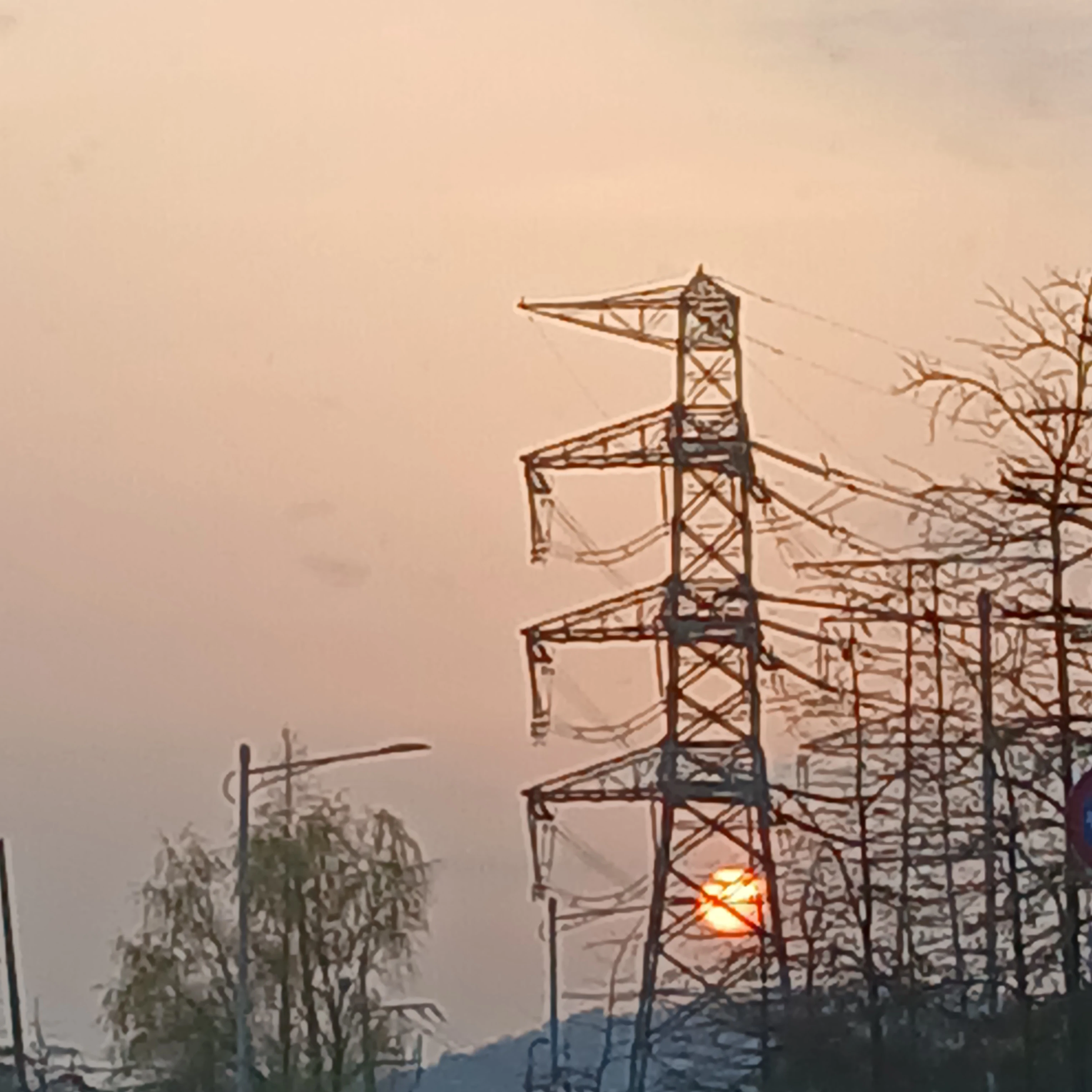 고고프랜즈(+여우 포함