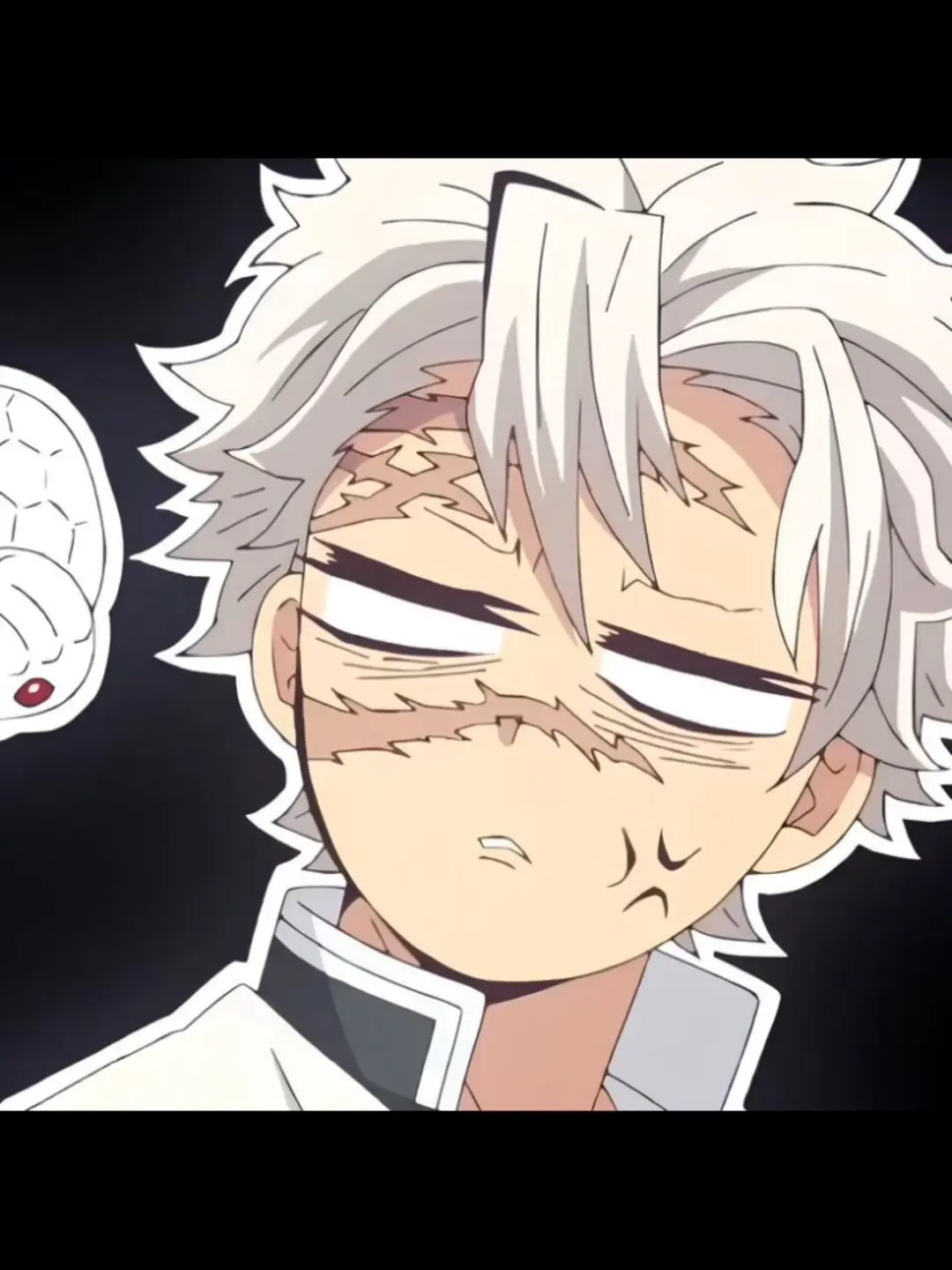 SlimFoot2476의 귀멸탐정